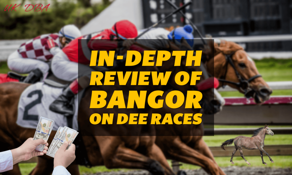 In-Depth Review of Bangor on Dee Races